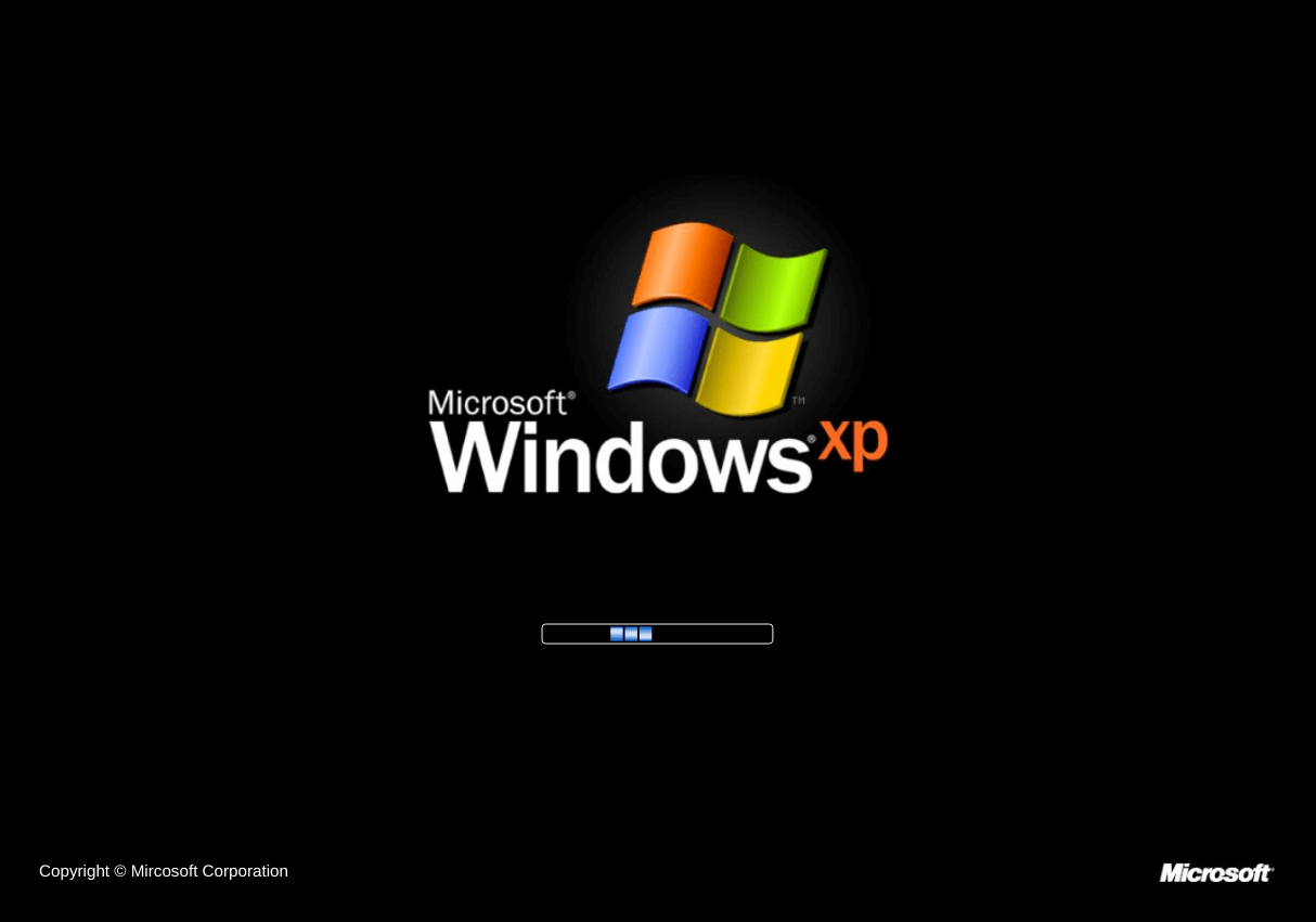 The Windows XP startup screen